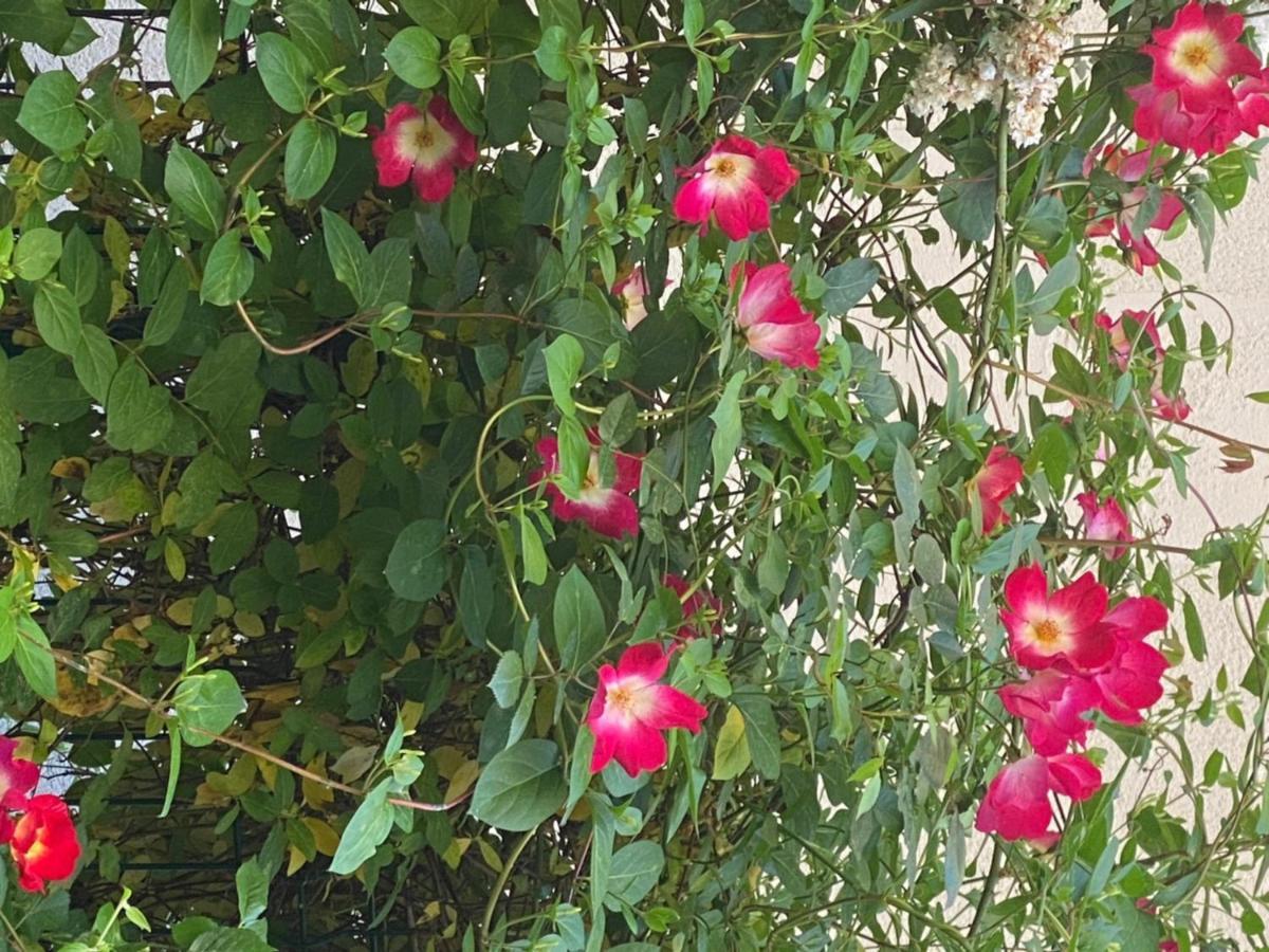 Appartamento Le Parc Bergerac Esterno foto